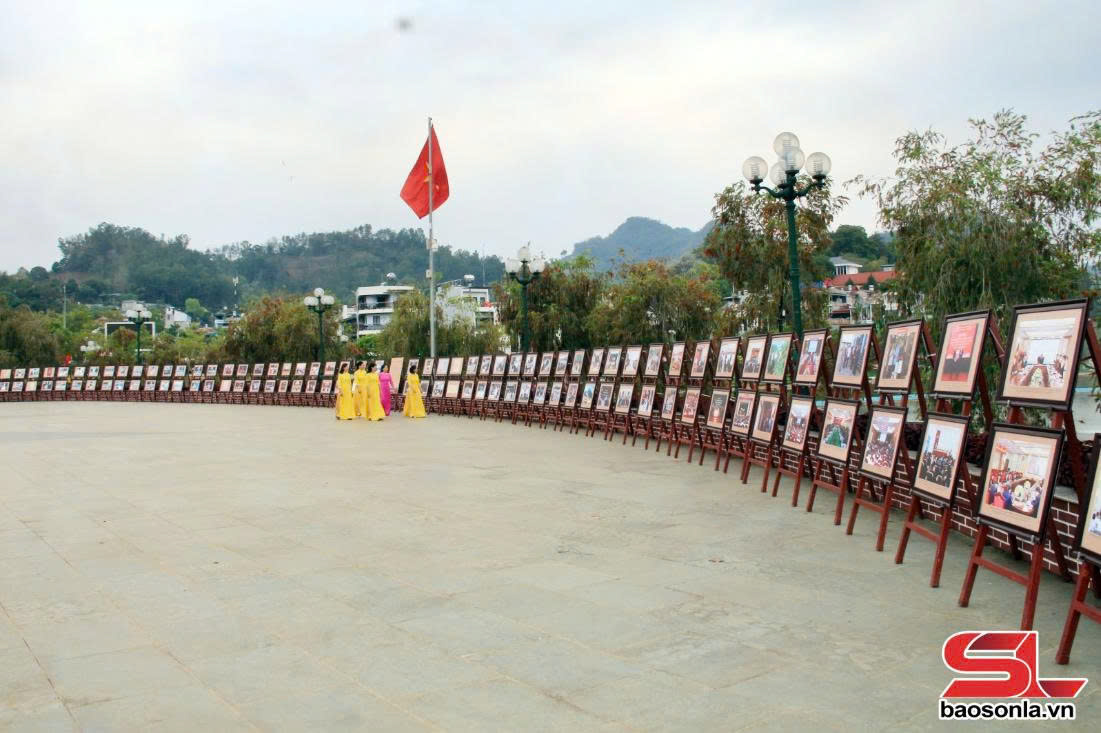 anh tin bai